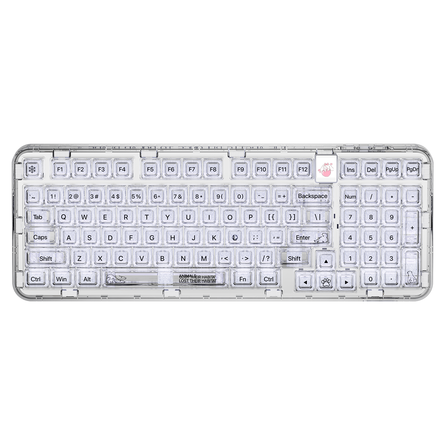 CK98 Ultra-北极熊